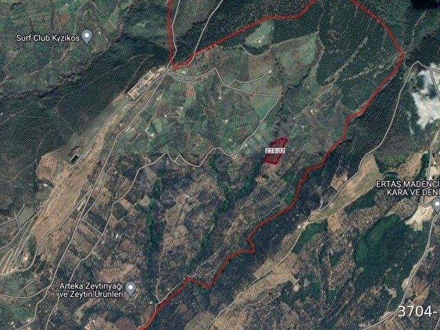 ERDEK, ATATÜRK MAH. KONDARYA MEVKİİ, 10.327M2 SATILIK ZEYTİNLİK