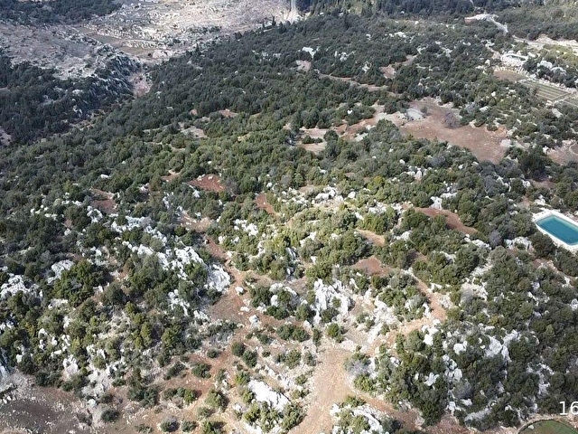 KÖY İÇİ 3200M2 FIRSAT - Görsel 2