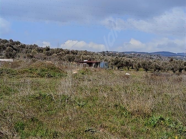Müstakil Tapulu SATILIK 1392 m2 Bağ Bahçe ve 2+1 EV - Görsel 12