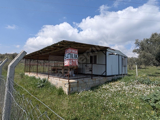 Müstakil Tapulu SATILIK 1392 m2 Bağ Bahçe ve 2+1 EV - Görsel 5