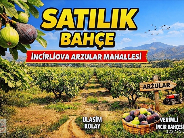 AYDIN ARZULAR MAHALLESİNDE MÜSTAKİL SATILIK İNCİR BAHÇESİ