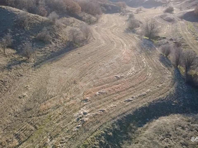 KURTBOĞAZI BARAJI VE ORMAN YANINDA TEK TAPU BAHÇELİK ARAZİ - Görsel 5