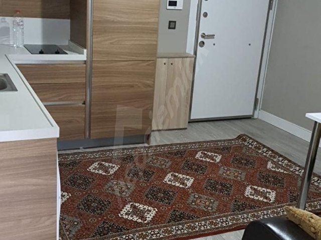 Bandırmada 2+1 Atatürk Caddesi üzerinde full eşyalı daire - Görsel 12