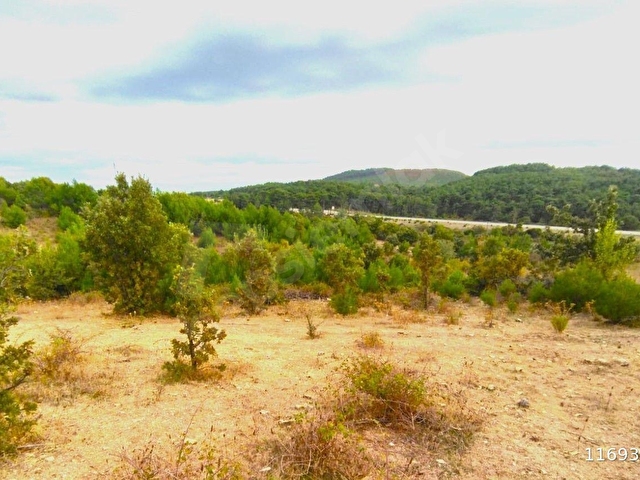 13 DÖNÜM SÜPER KONUM UYGUN FİYAT - Görsel 19