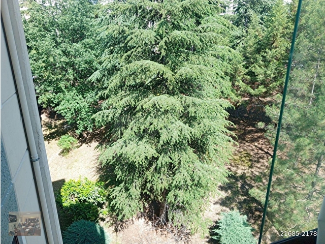 ILGAZLAR SİTESİNDE 1+1 TEK EMLAKTAN SATILIK DAİRE - Görsel 5