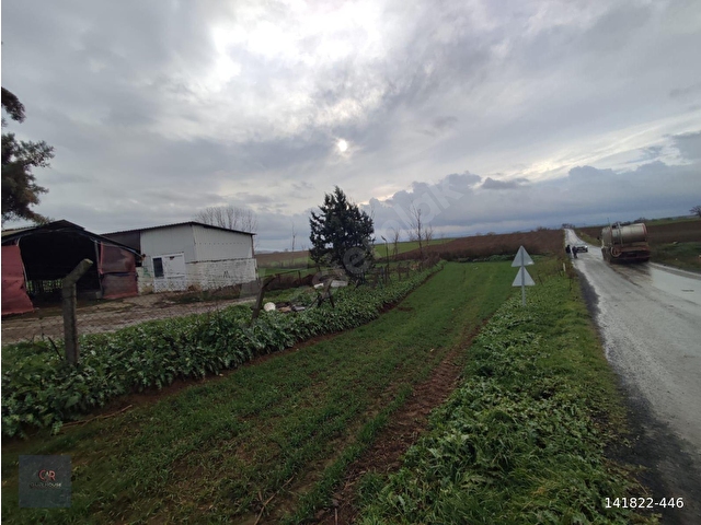 SELÇUKTA ASFALT YOLA CEPHE HOBİ BAHÇESİ OLABİLECEK YER - Görsel 9