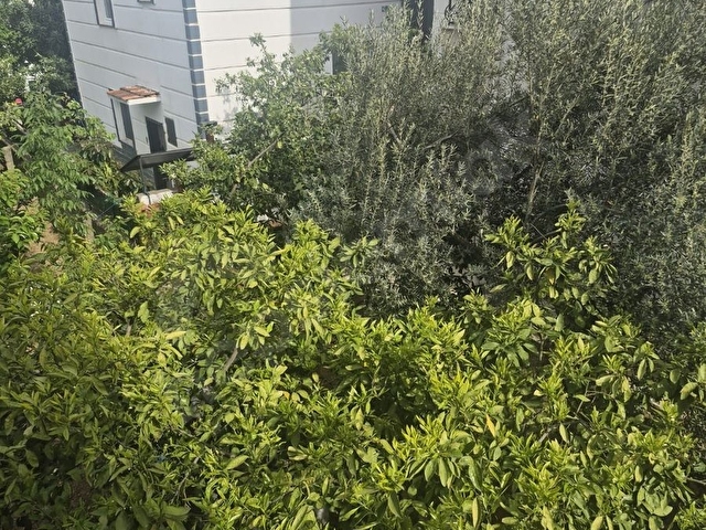 KIZILKEÇİLİ KÖYÜNDE BAHÇELİ GİRİŞ ÜSTÜ DAİREMİZ KİRALIKTIR