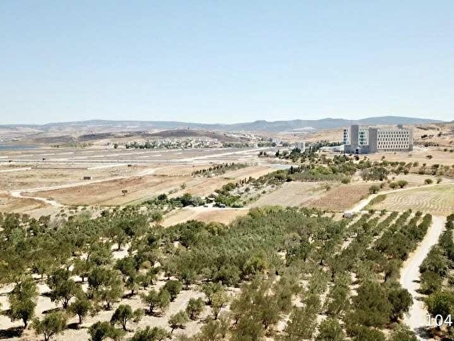 ÇALTIDEREde DENİZE YAKIN ASFALT YOLU OLAN SATILIK ZEYTİNLİK - Görsel 24