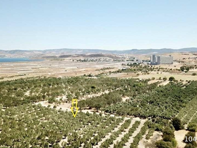 ÇALTIDEREde DENİZE YAKIN ASFALT YOLU OLAN SATILIK ZEYTİNLİK - Görsel 27