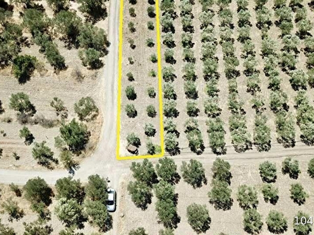 ÇALTIDEREde DENİZE YAKIN ASFALT YOLU OLAN SATILIK ZEYTİNLİK - Görsel 21