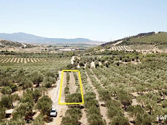 ÇALTIDEREde DENİZE YAKIN ASFALT YOLU OLAN SATILIK ZEYTİNLİK - Görsel 22