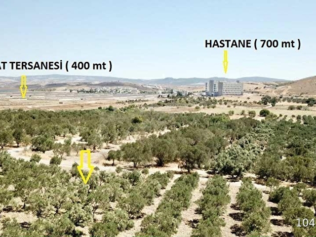 ÇALTIDEREde DENİZE YAKIN ASFALT YOLU OLAN SATILIK ZEYTİNLİK - Görsel 3