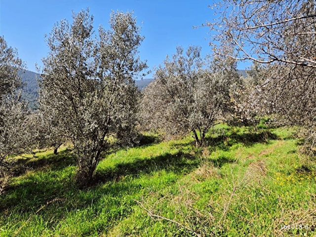 KÜÇÜKKUYU MERKEZE YAKIN FIRSAT 862 M2 SATILIK TARLA - Görsel 18