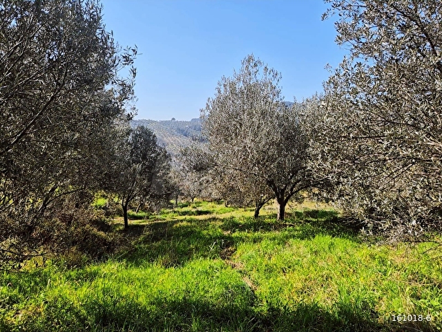KÜÇÜKKUYU MERKEZE YAKIN FIRSAT 862 M2 SATILIK TARLA - Görsel 19