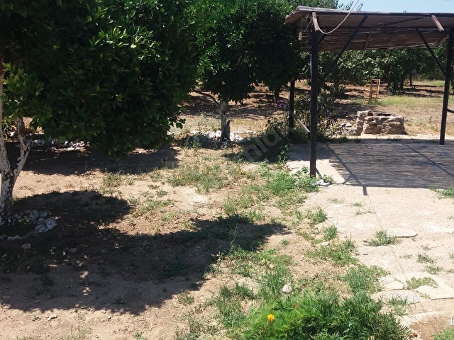 Bodrum Mazi Kiralik Esyali Daire 119418 60 Hurriyet Emlak