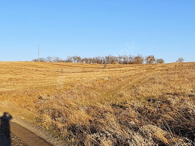 Bilecik Söğüt Kızılsarayda Manzaralı 4.100 m² Satılık Arazi - Görsel 4