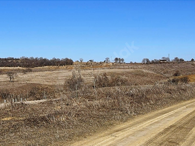 Bilecik Söğüt Kızılsarayda Manzaralı 4.100 m² Satılık Arazi - Görsel 19
