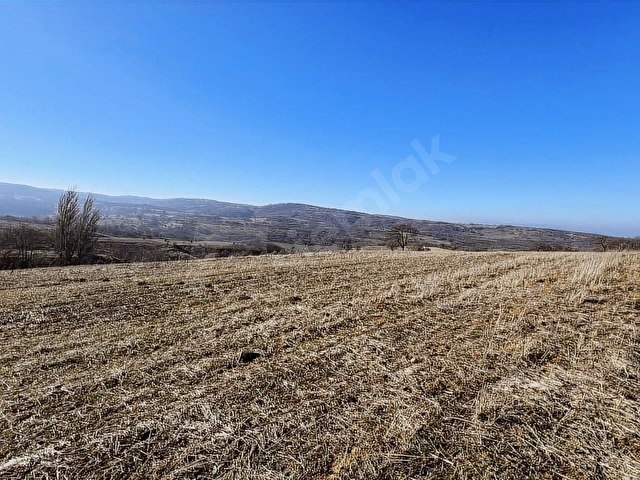 Bilecik Söğüt Kızılsarayda Manzaralı 4.100 m² Satılık Arazi - Görsel 29