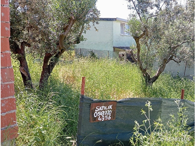 bursa Mudanya Mesudiye arsa