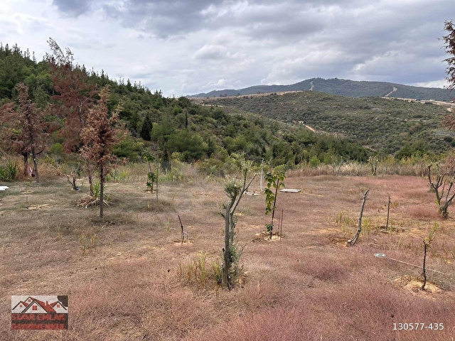 KUMBAĞ DA YERLEŞİM YERİNE 5 DK MESAFEDE ORMAN İÇİNDE BAĞ EVİ - Görsel 4