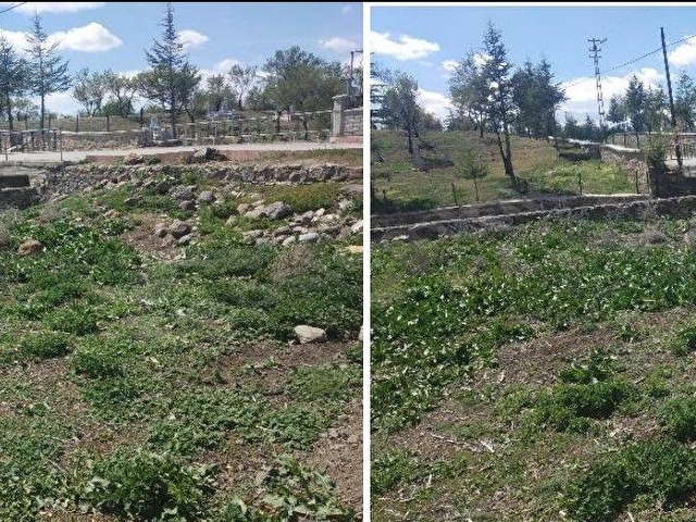 KONYA SEYDİŞEHİR ARSA TAPU SAHİBİ PERTA EMLAK ÜMİT TAHMAZ - Görsel 4