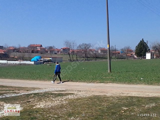 Kırklareli Babaeski Büyük mandıra paşada satılık müstakil parsel - Görsel 9