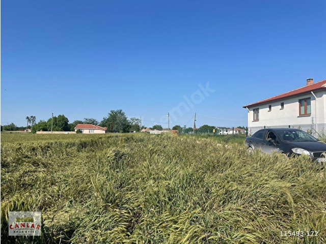 Kırklareli Babaeski Büyük mandıra paşada satılık müstakil parsel - Görsel 3