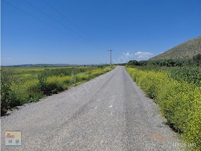 RAHMİYE DE KÖYE YOLA SIFIR YAKIN SATILIK 3.500 M2 ZEYTİNLİK 1.500.000 TL - Görsel 17