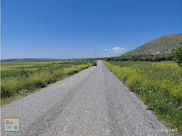 RAHMİYE DE KÖYE YOLA SIFIR YAKIN SATILIK 3.500 M2 ZEYTİNLİK 1.500.000 TL - Görsel 15