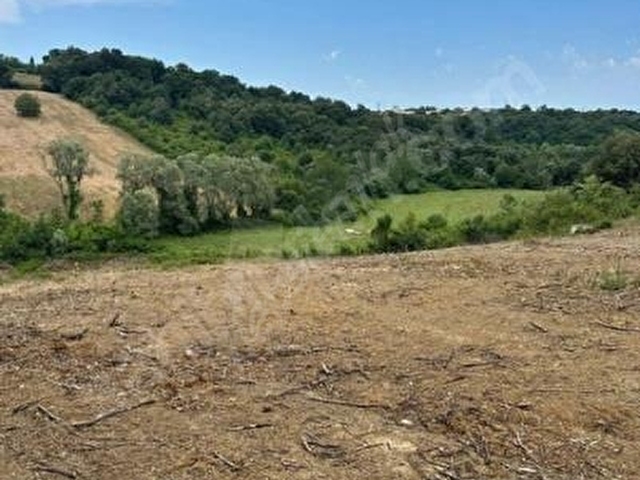 SİNOP MERKEZ OSMANİYE DENİZ MANZARALI TEK TAPU ARSA - Görsel 9