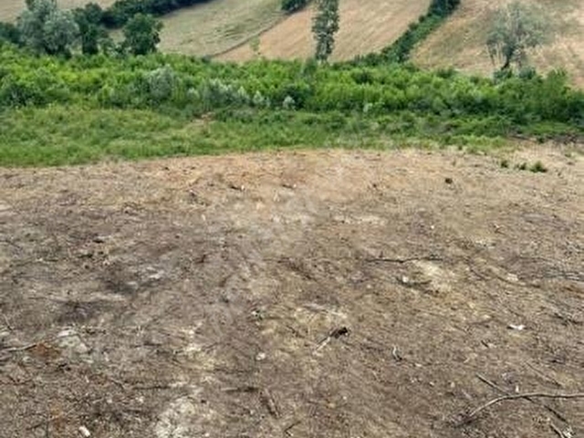 SİNOP MERKEZ OSMANİYE DENİZ MANZARALI TEK TAPU ARSA - Görsel 8