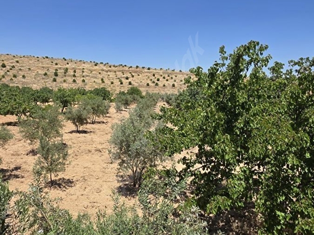 SİNANDA ANA YOL ASVALT ÜSTÜ SATILIK BAĞ EVİ - Görsel 16