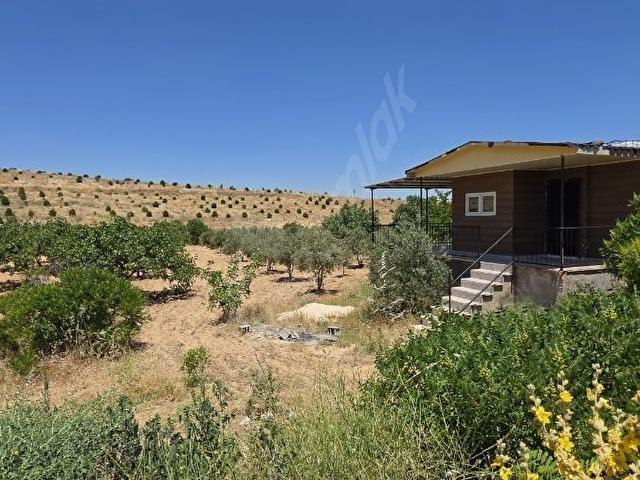 SİNANDA ANA YOL ASVALT ÜSTÜ SATILIK BAĞ EVİ - Görsel 3