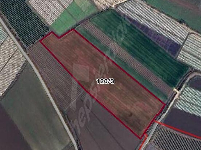 NEWGOLD GAYRİMENKUL DEN KELAHMET KÖYÜ 72 DÖNÜM SATILIK TARLA - Görsel 6