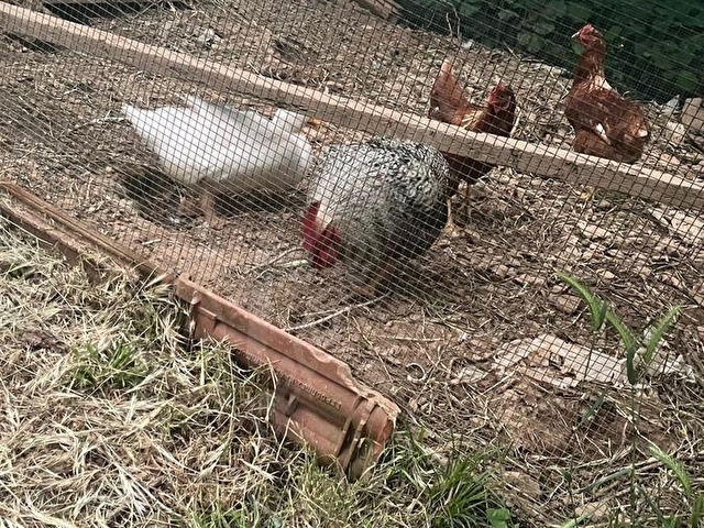 Ataydan Beykoz Tokatköyde Yatırımlık Muhteşem Konumda arsa 1.200 m2 20.000.000 tl - Görsel 13