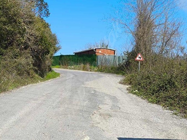 AYSELDEN ŞİLE İMRENLİDE 296M2 İÇİNDE KONTERNIR YAZLIK EV - Görsel 3
