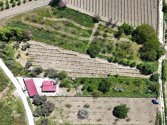 KUŞADASI KİRAZLI KÖYÜNDE KADASTRAL YOLA CEPHELİ 2.350 m2 BAHÇE - Görsel 16