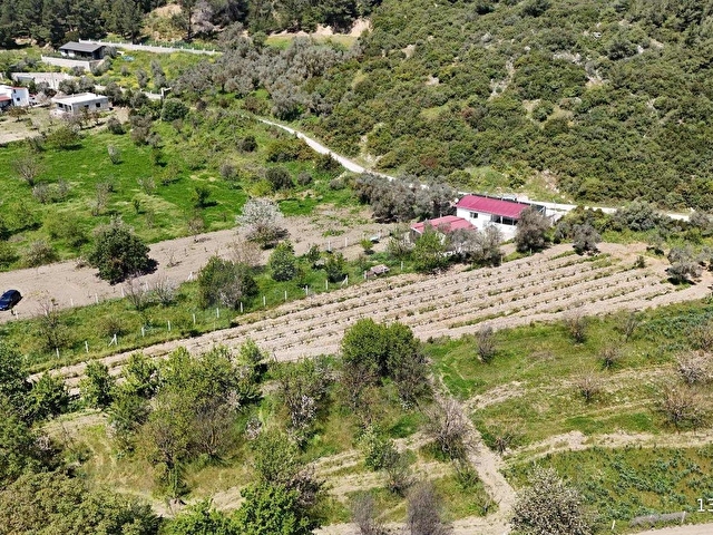 KUŞADASI KİRAZLI KÖYÜNDE KADASTRAL YOLA CEPHELİ 2.350 m2 BAHÇE