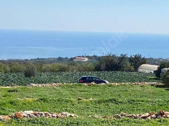 6 Villa Projesi Mersin Erdemli Batısandal Mahallesi - Görsel 5