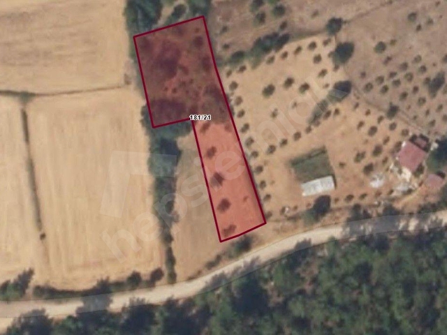MUĞLA YARAŞDA DENİZLİ ANA YOLUNA YAKIN 1687 M2 SATILIK TARLA
