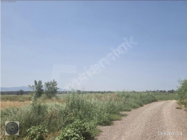 Kadastrol Yollu,Alt Yapılı Birçok İşe Uygun Kiralık 18.000 m2 - Görsel 3