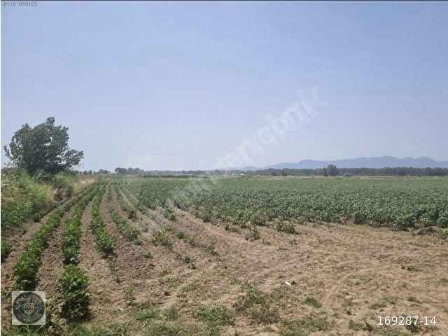 Kadastrol Yollu,Alt Yapılı Birçok İşe Uygun Kiralık 18.000 m2 - Görsel 12