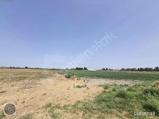 Kadastrol Yollu,Alt Yapılı Birçok İşe Uygun Kiralık 18.000 m2 - Görsel 14