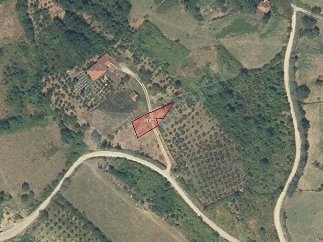 🏡 SİNOP ŞEREFİYEDE EV YAPMAYA UYGUN, YOLA CEPHELİ SATILIK ARSA