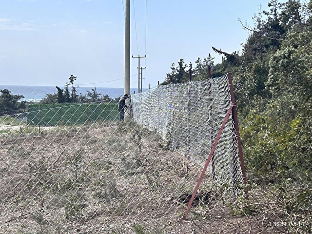 Çeşme altınkumda 600 m2 hisseli tarla - Görsel 10