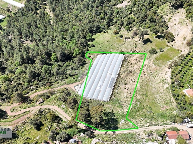 ANTALYA KUMLUCA KARACAÖRENDE SATILIK SERA - Görsel 30