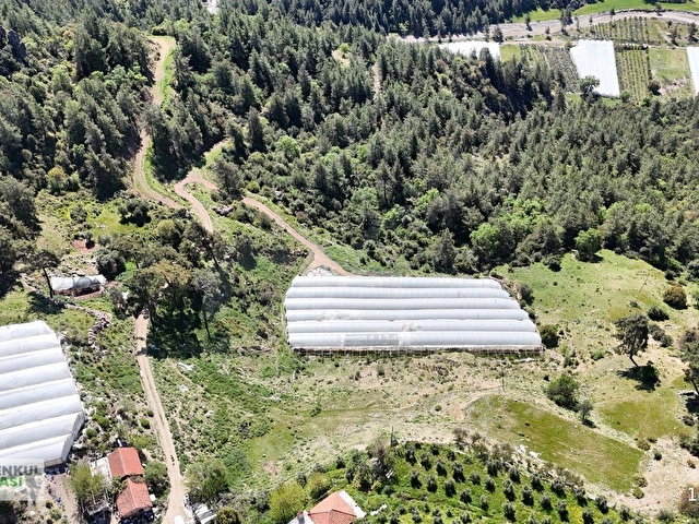ANTALYA KUMLUCA KARACAÖRENDE SATILIK SERA - Görsel 18