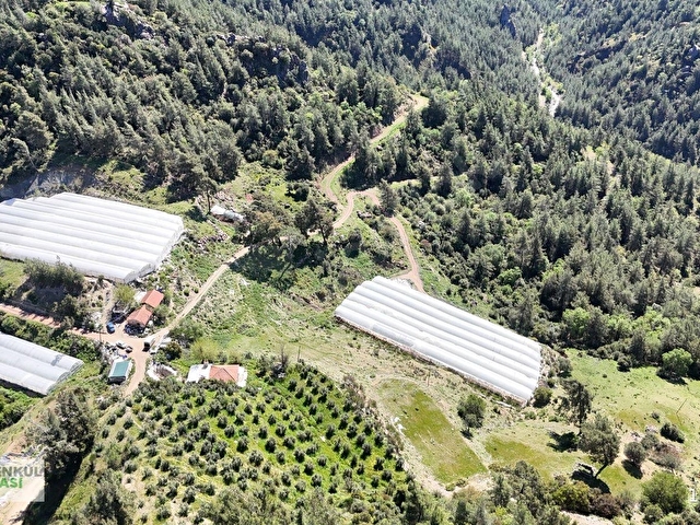 ANTALYA KUMLUCA KARACAÖRENDE SATILIK SERA - Görsel 19