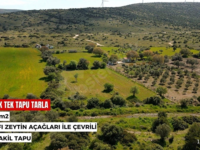 NEWER GLOBALDEN URLA -ZEYTİNLİDE TEK TAPU YATIRIM FIRSATI - Görsel 5