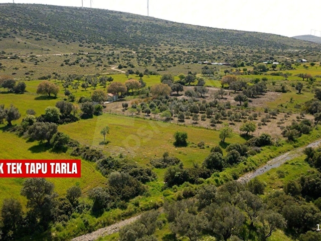 NEWER GLOBALDEN URLA -ZEYTİNLİDE TEK TAPU YATIRIM FIRSATI - Görsel 7